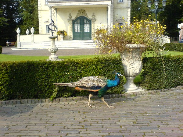 efteling2005_56.jpg